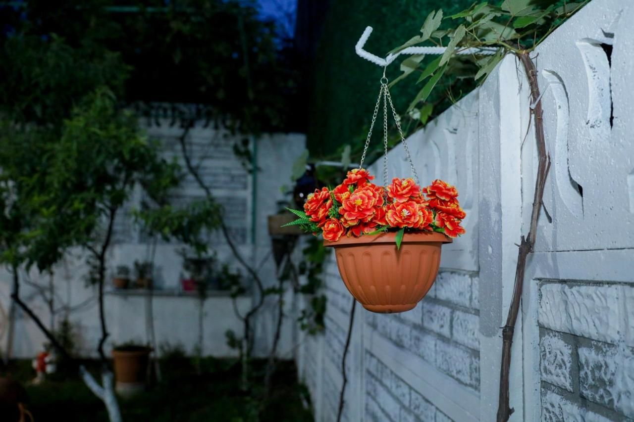 Отель Hotel DELUXE 55 Тбилиси-19