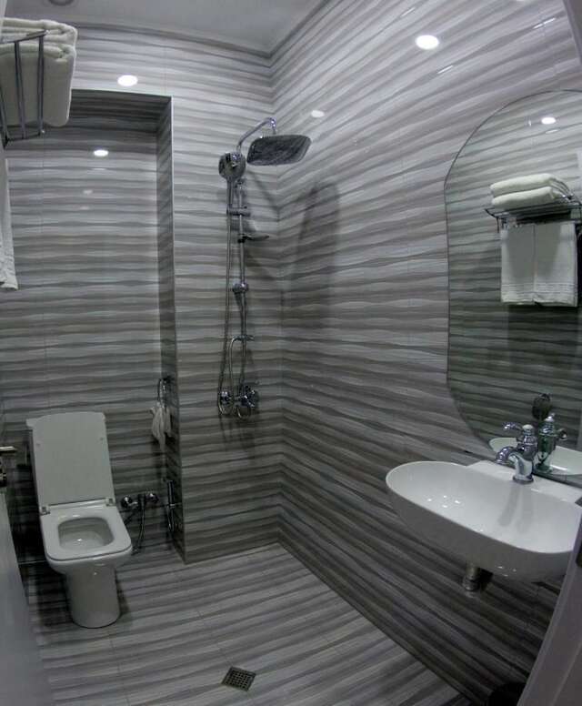 Отель Hotel DELUXE 55 Тбилиси-15