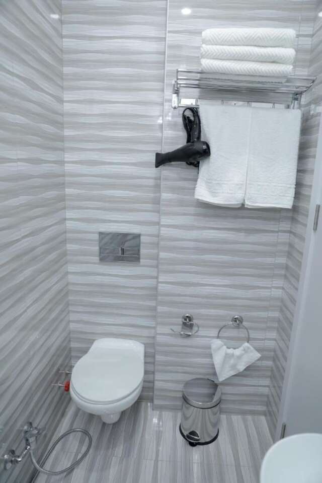 Отель Hotel DELUXE 55 Тбилиси-23