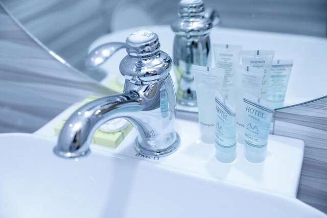 Отель Hotel DELUXE 55 Тбилиси-44